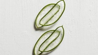 Mexican Aloe Extract bermanfaat melindungi rambut dari luar